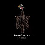 دانلود آهنگ Brennan Savage به نام Look at Me Now