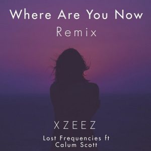 دانلود آهنگ Lost Frequencies به نام Where Are You Now (XZEEZ)