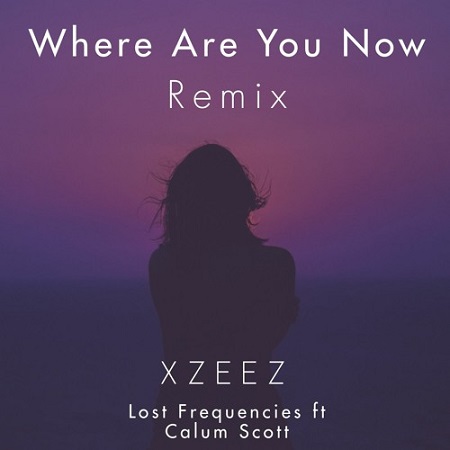 دانلود آهنگ Lost Frequencies به نام Where Are You Now (XZEEZ)